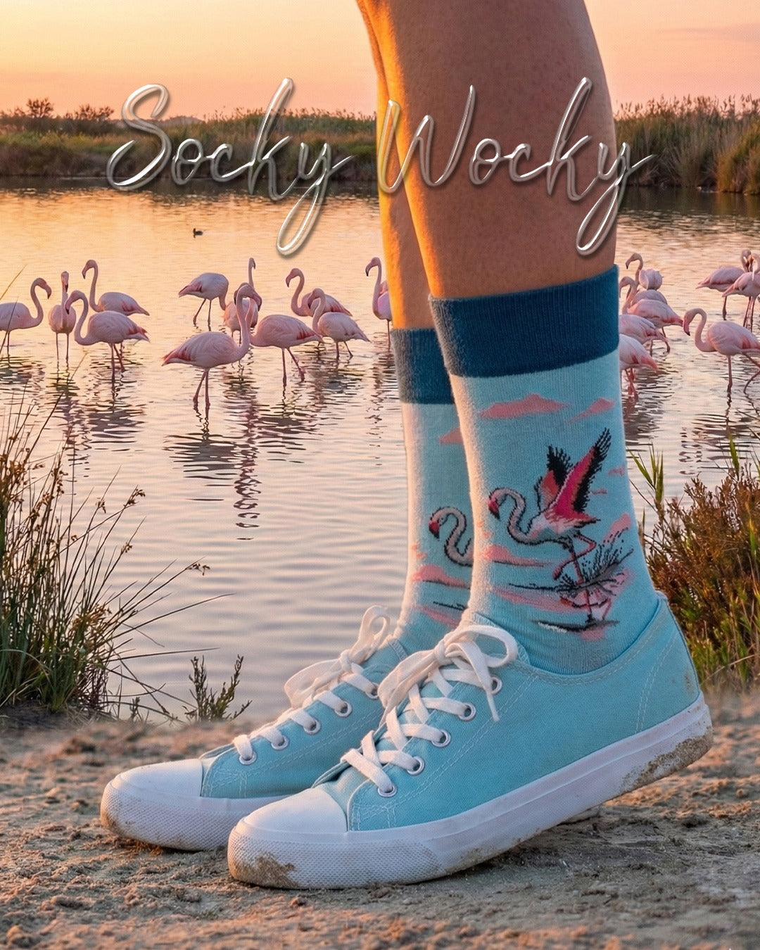Flamingo Turquoise Socks Tropical Bird Series